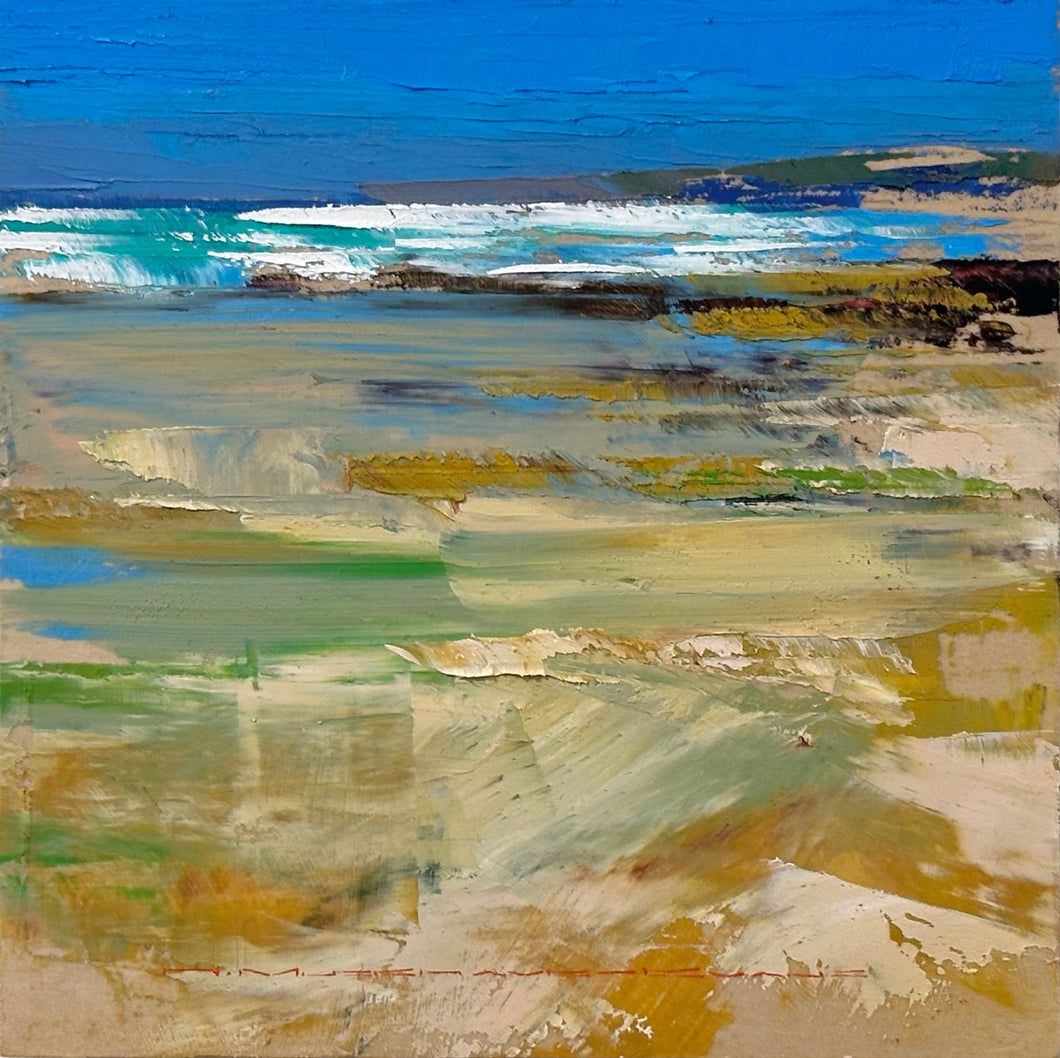 Low Tide Rock Pools and Surf Study