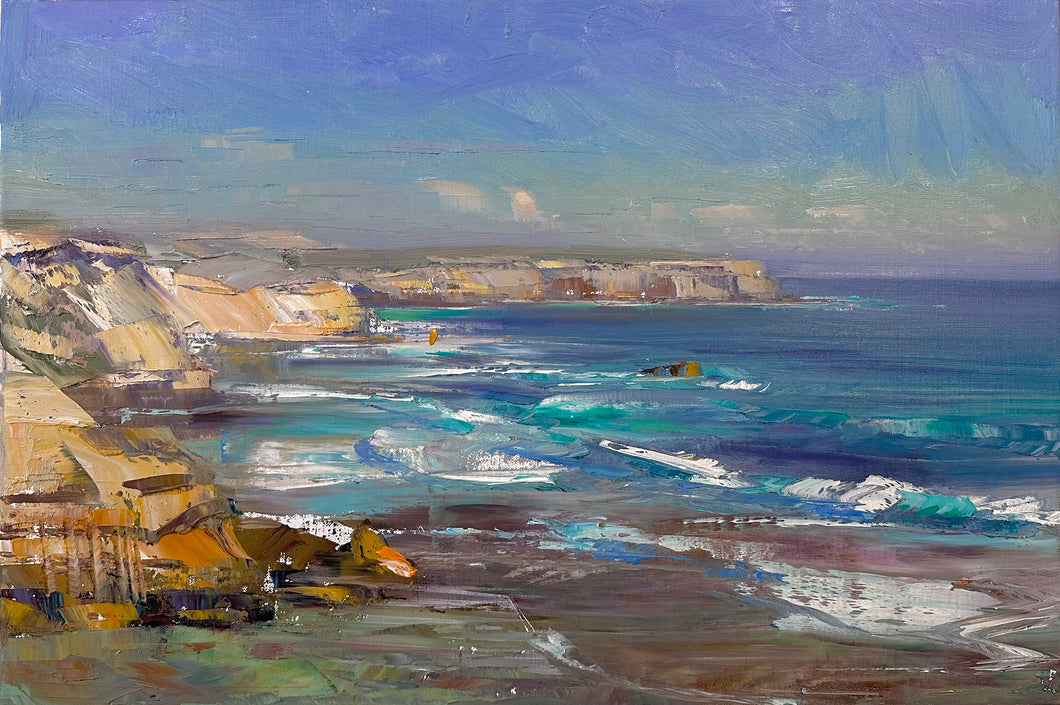 Afternoon Coastal Splendour