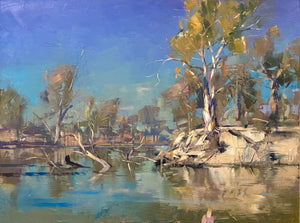 Tranquil Midday Light on the River