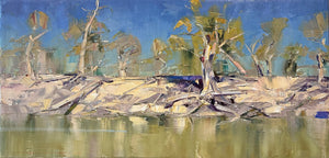 Mid Afternoon Reflections on the River