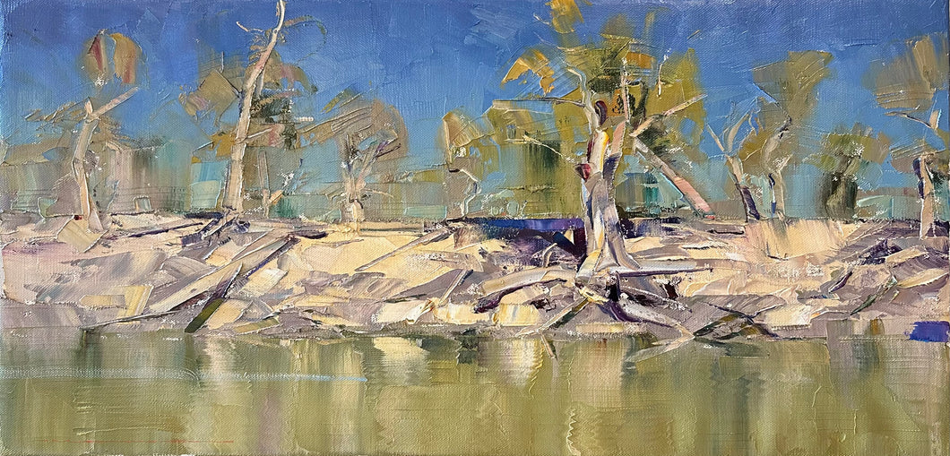 Mid Afternoon Reflections on the River