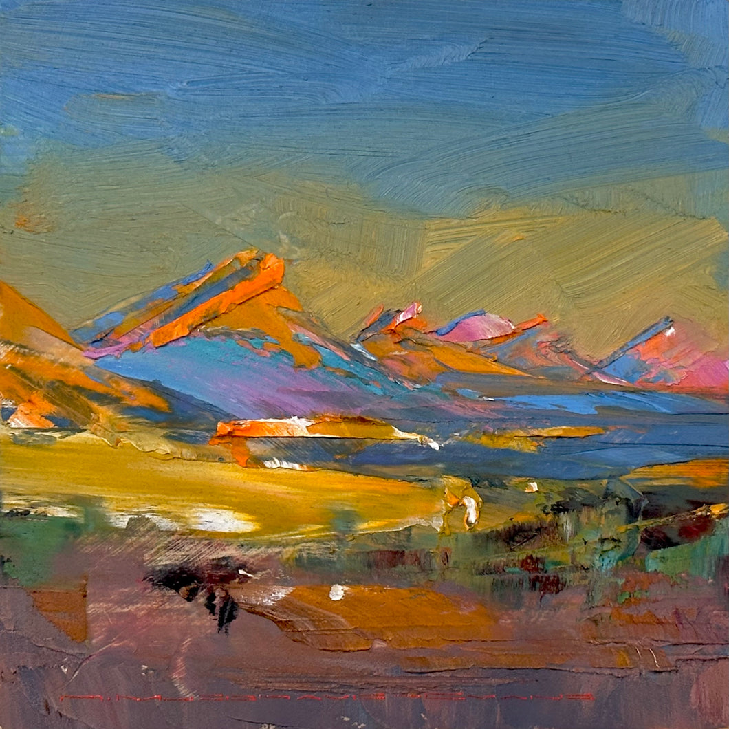 A Magical Evening in the Flinders Ranges