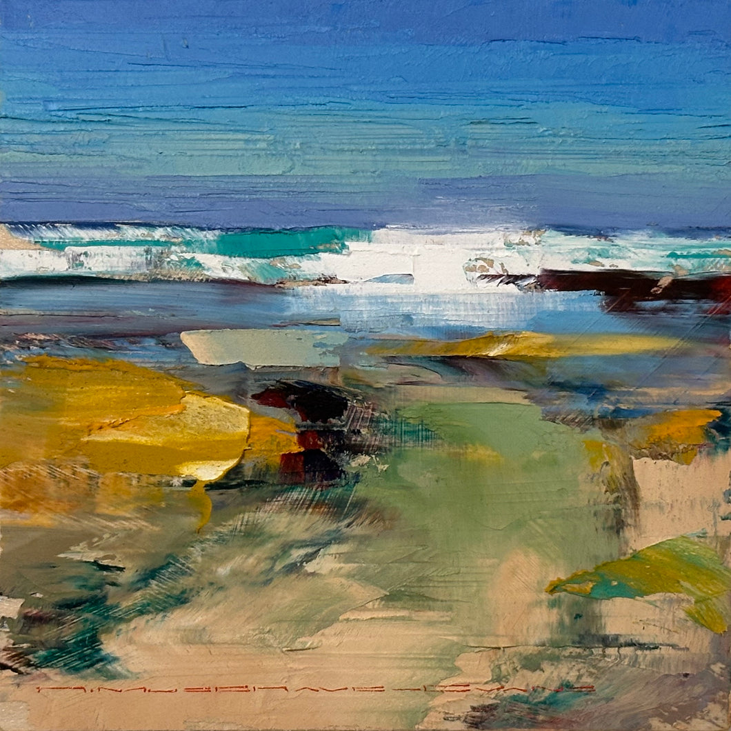 Low Tide and Surf