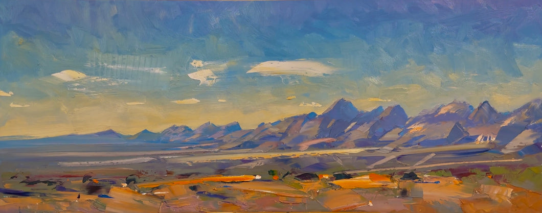 The Flinders Ranges from Brachina