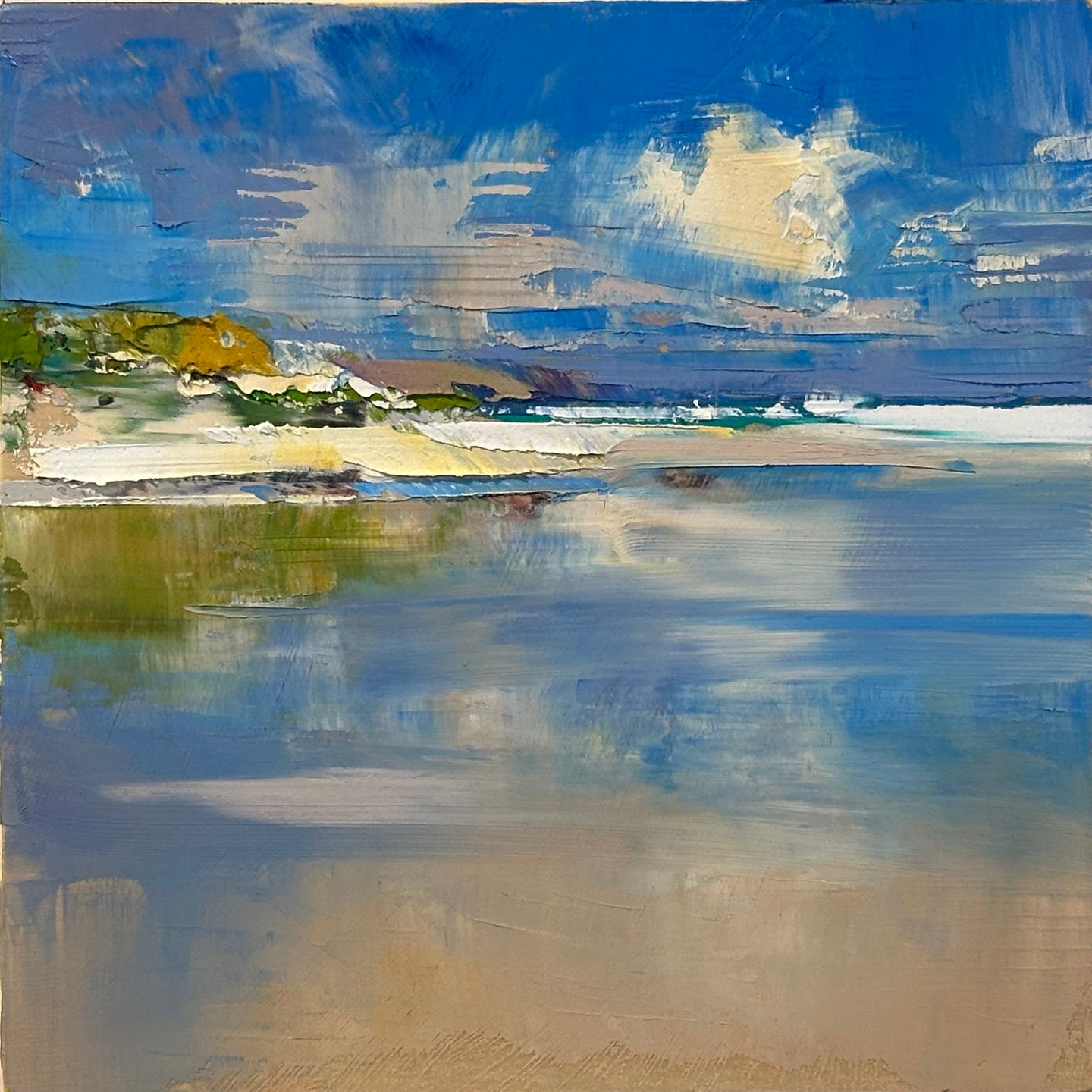 Low Tide Coastal Study