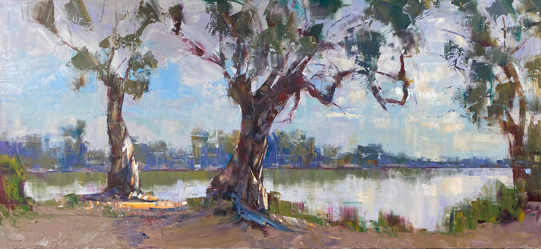 Large Gums on the Murray River