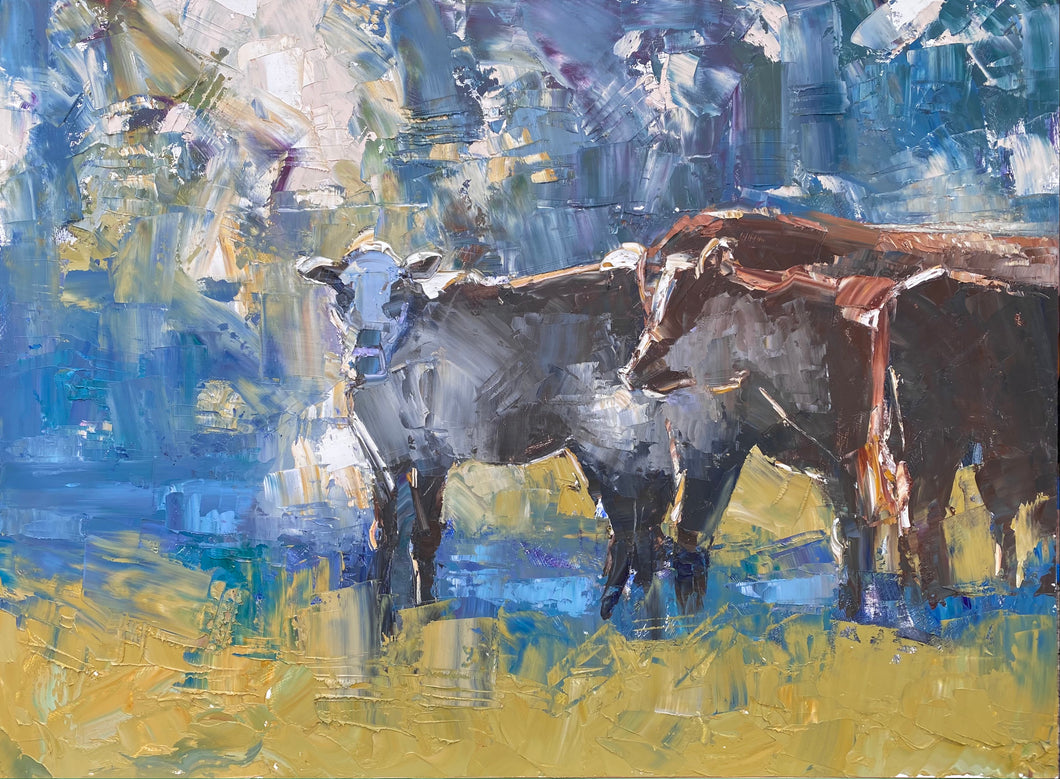 Early Morning Cows